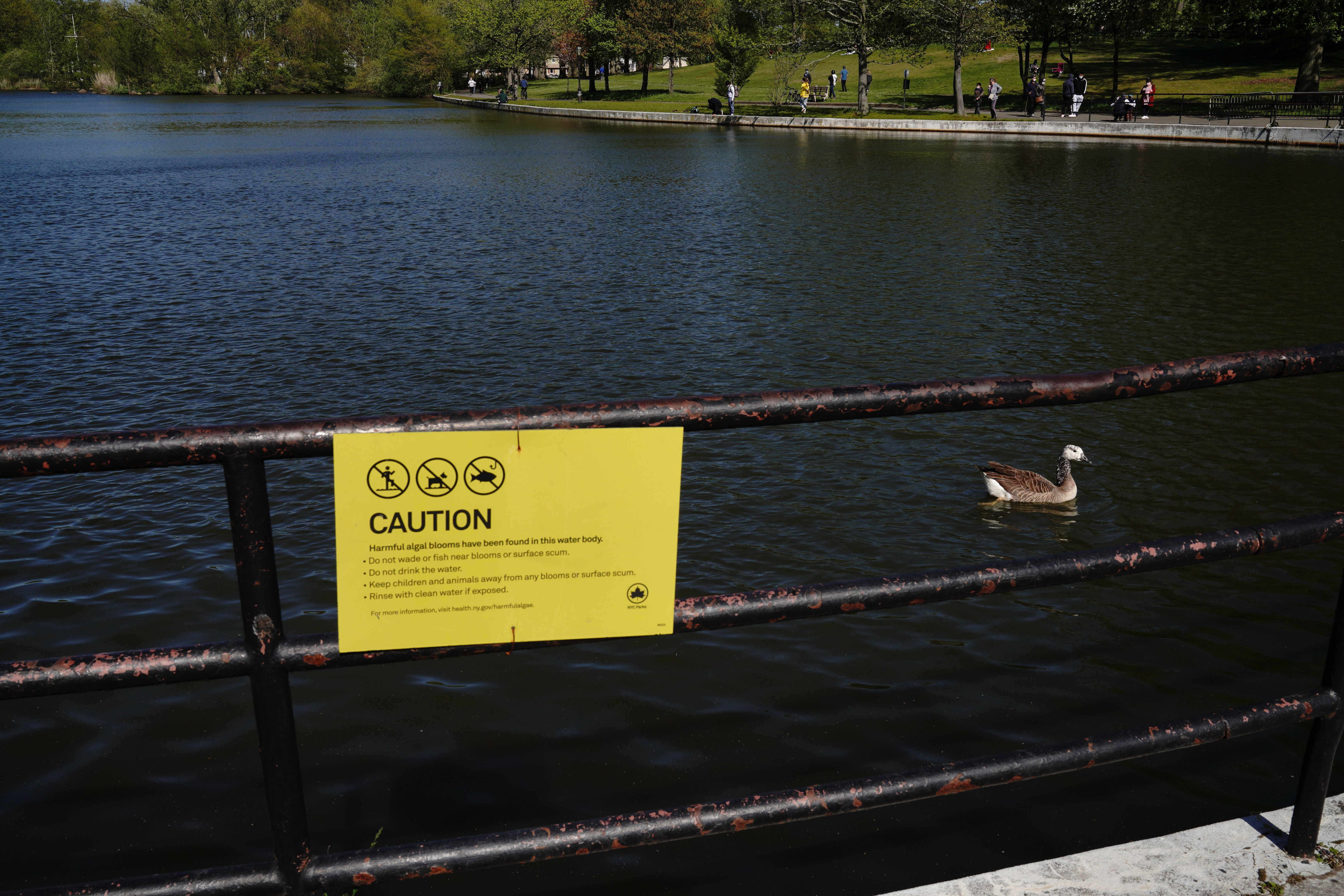 Efforts underway to plug flooding at Flushing&rsquo;s Kissena Park: Queens councilmember