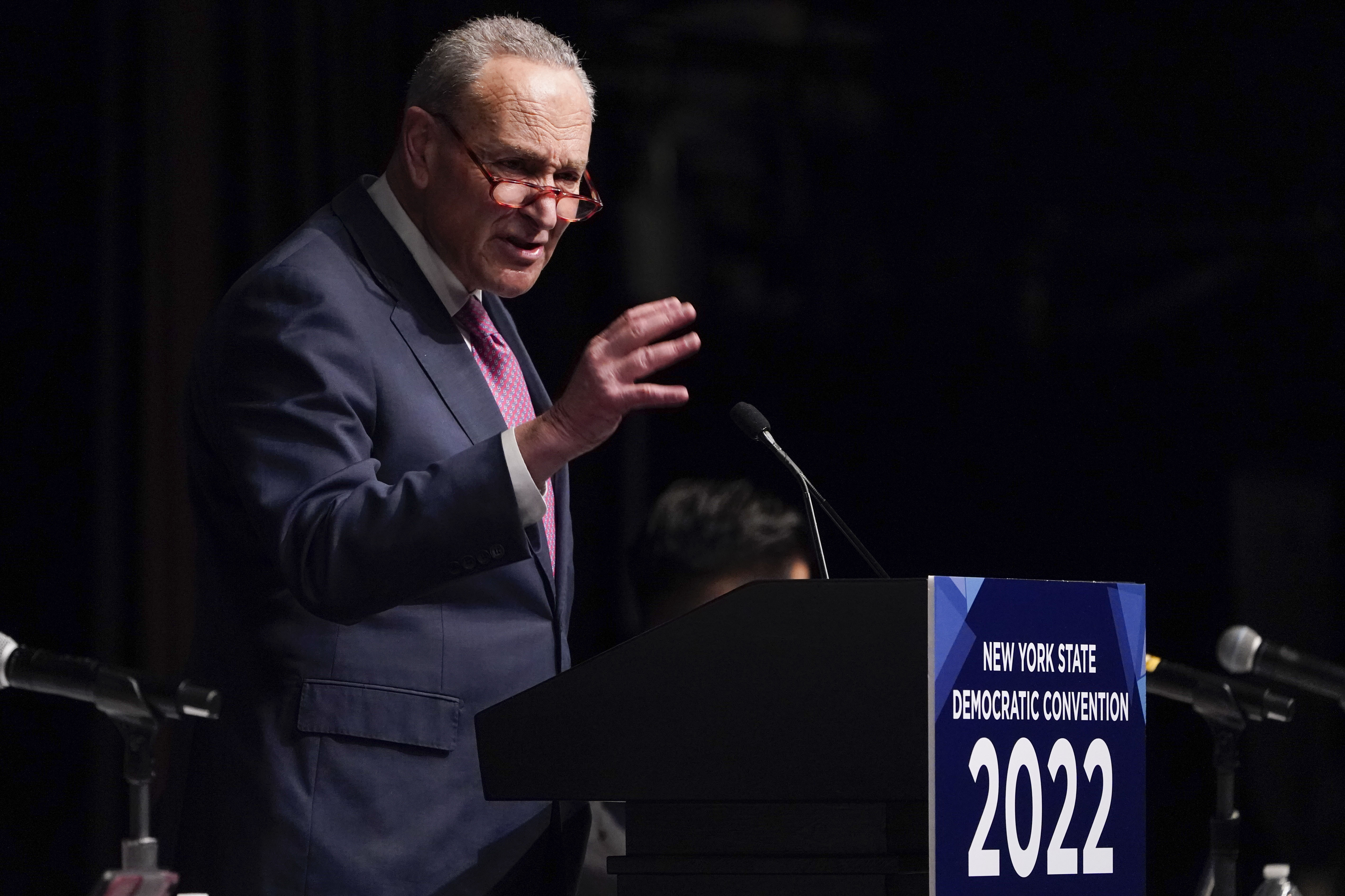How Chuck Schumer fended off a Democratic primary in New York
