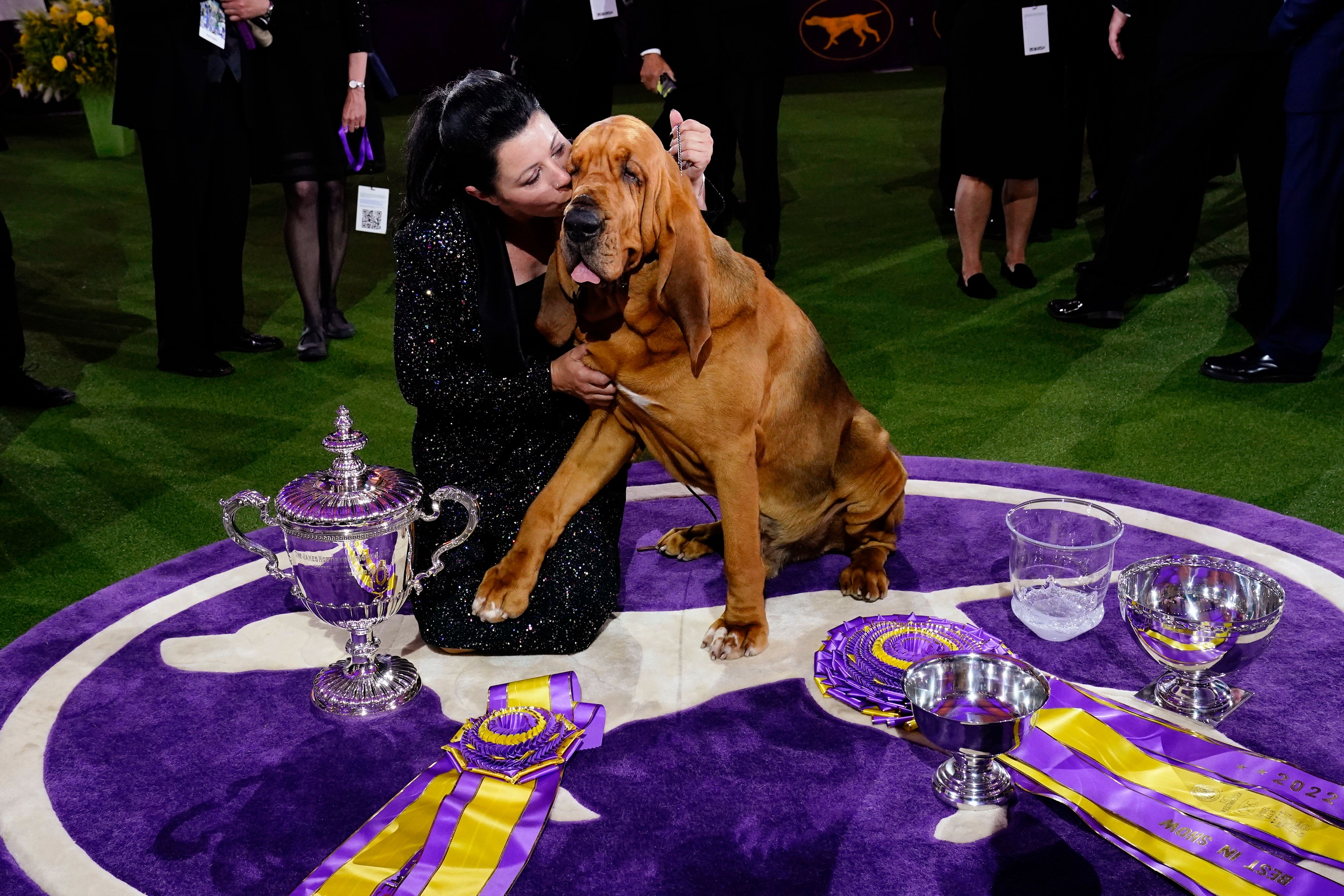 Heather Helmer kneels next to her dog Trumpet, the winner of the Westminster Dog Show.