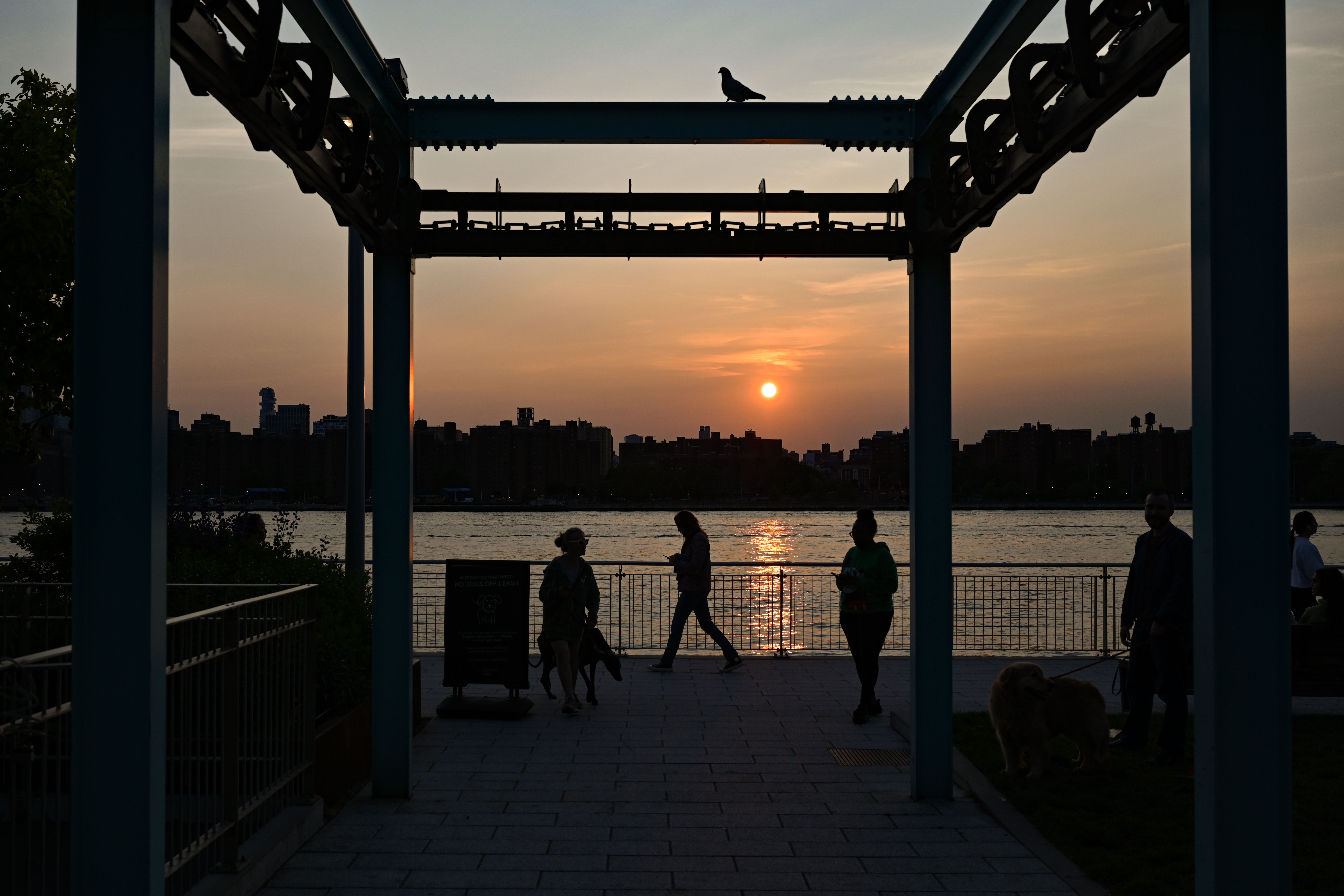 &lsquo;You can smell the smoke&rsquo;: NY issues health advisory over worsening air quality