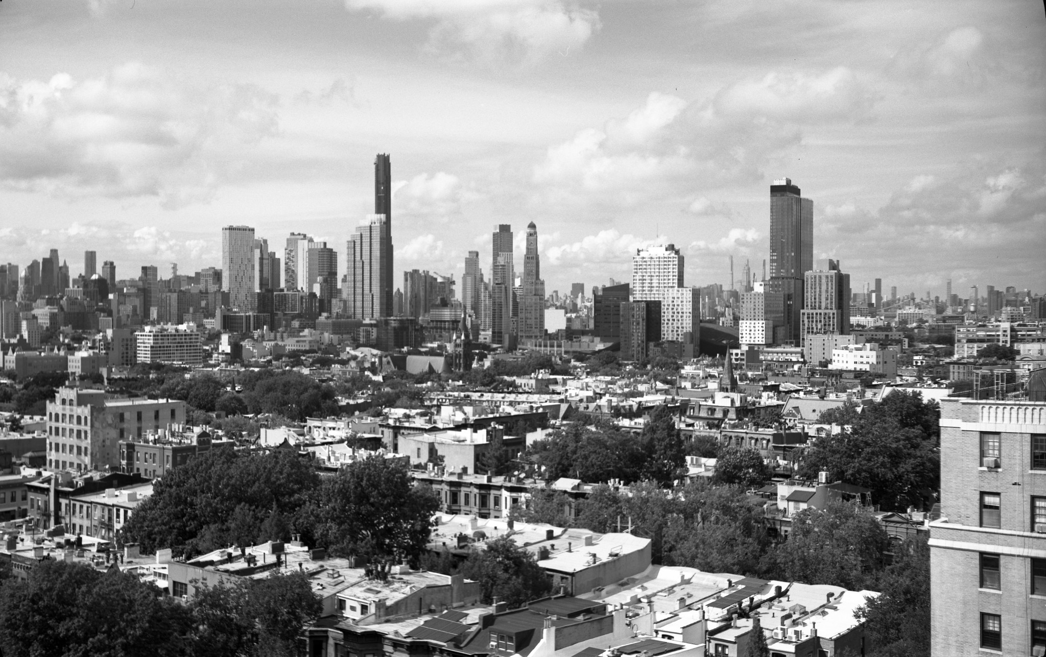 Early Addition: The mayor will have his usual, the branzino Early Addition: The mayor will have his usual, the branzino