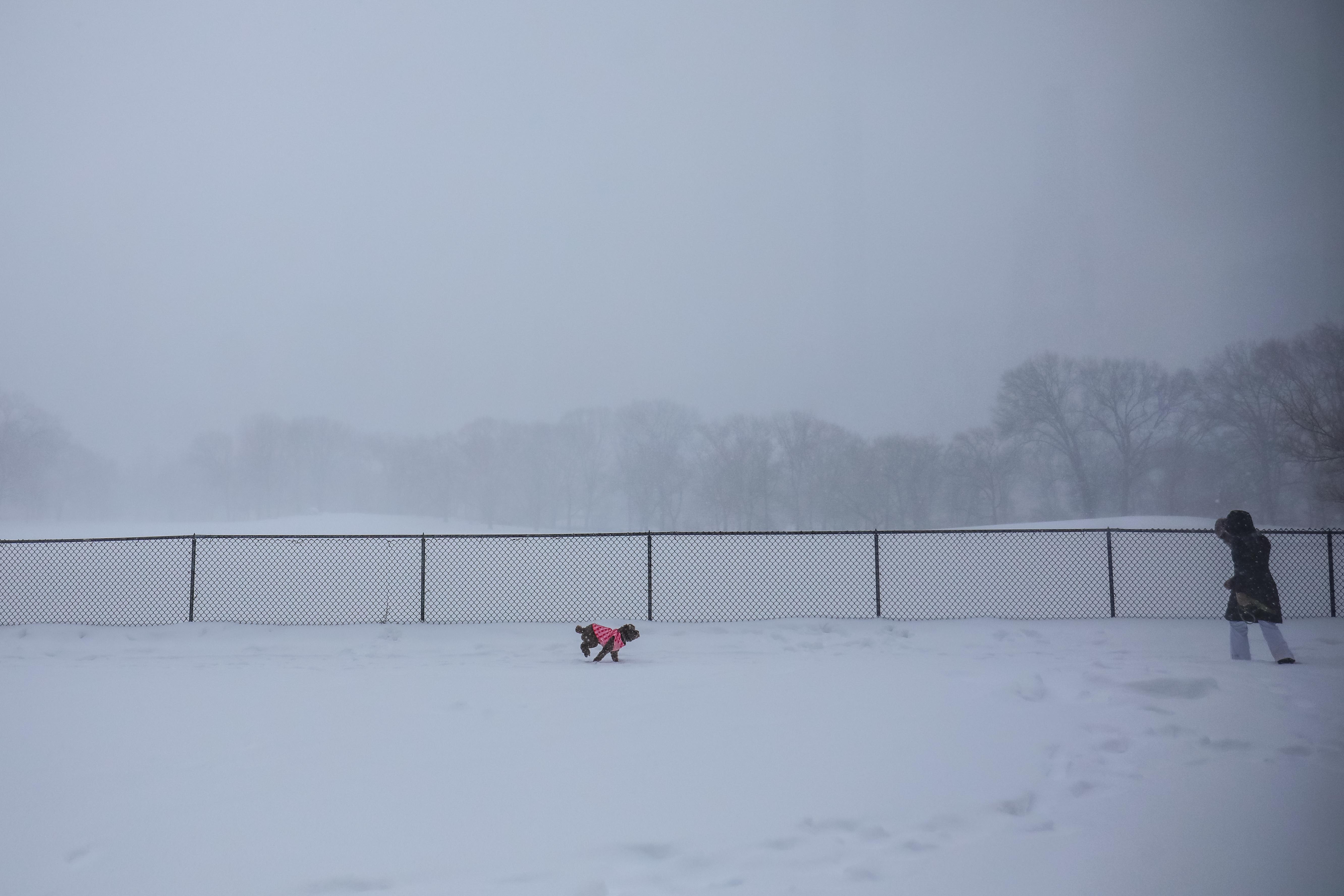 Photos Scenes From The February 1, 2021 Blizzard Gothamist