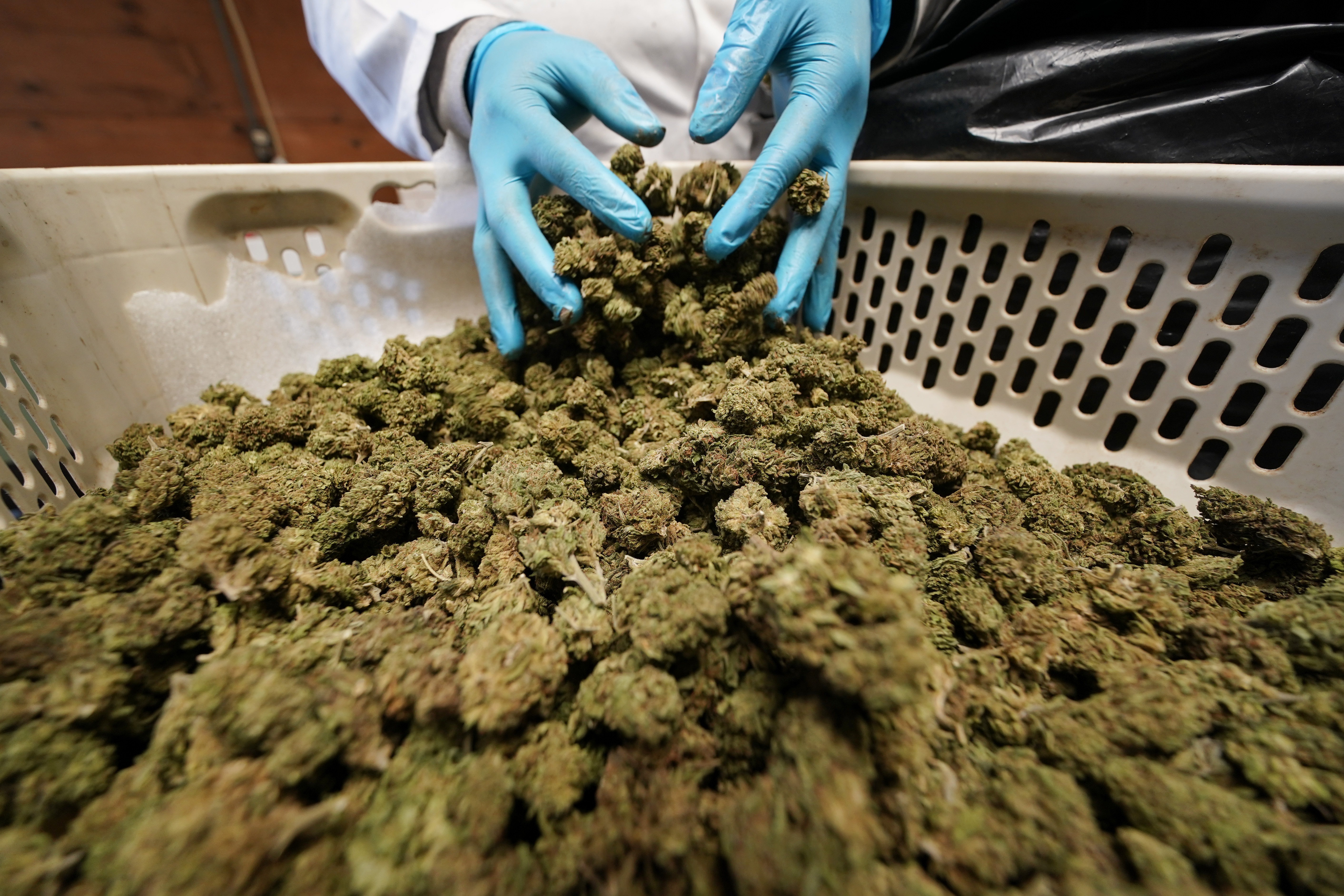 New York Towns Opting Out of Marijuana Sales Worry About The Kids