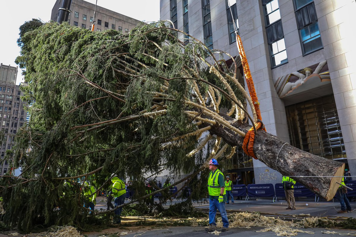 Rock Center Christmas Tree — NYC URBANISM