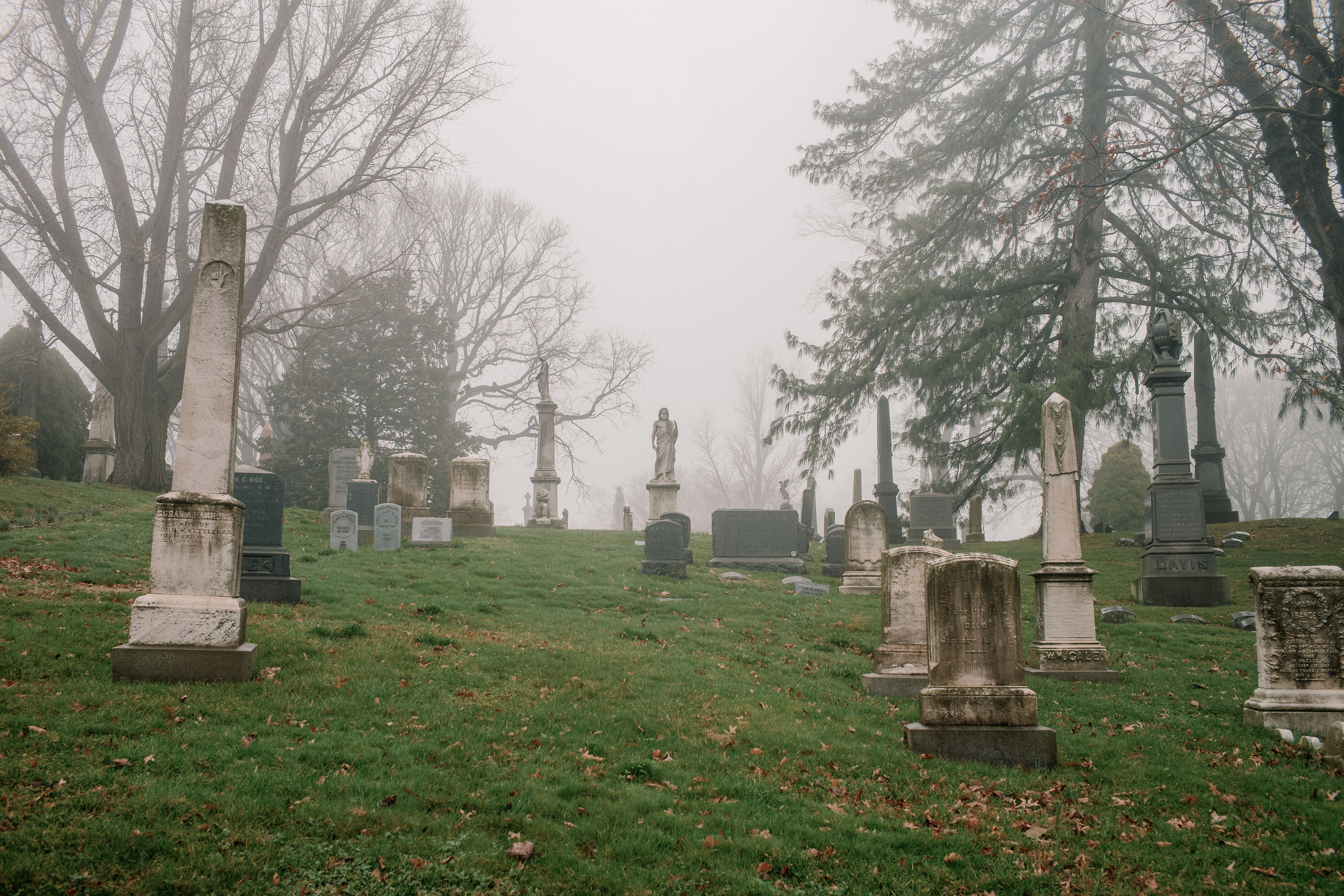 Tombstones in a misty cemetery in Brooklyn.
