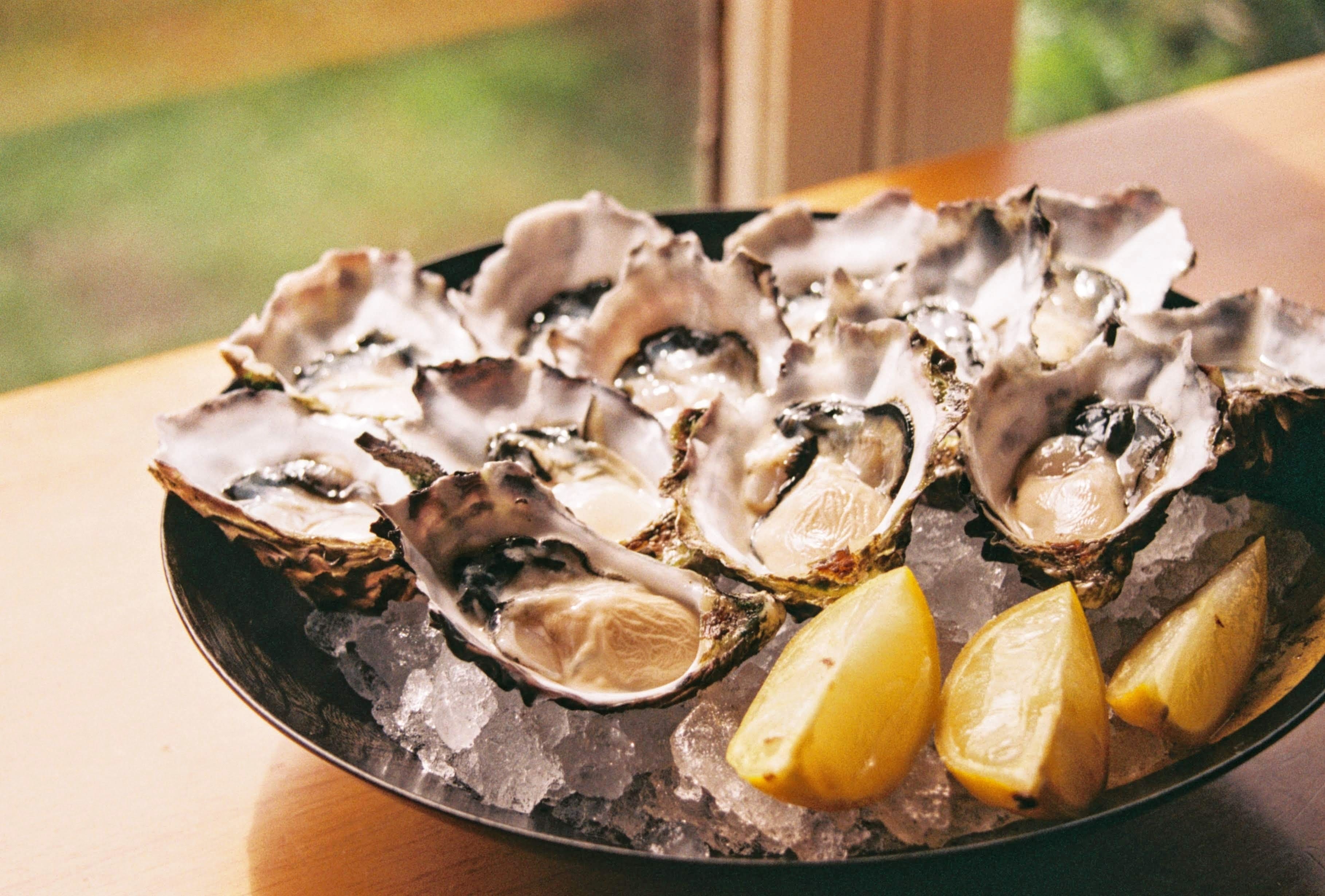 Early Addition: Shucks to be an oyster lover