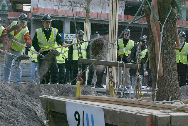 9/11 Survivor Tree to be Planted at Mercy Hospital Joplin